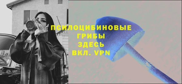 амф Приозерск
