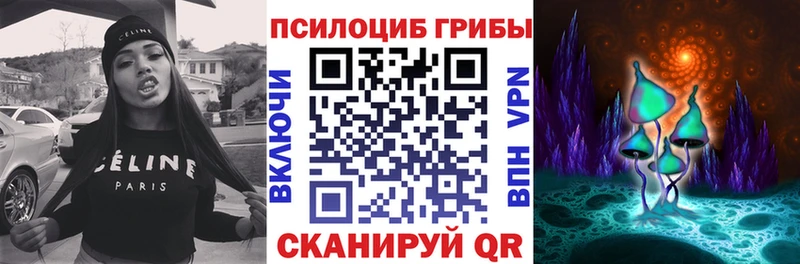 Псилоцибиновые грибы Magic Shrooms  Купить где  Вичуга 